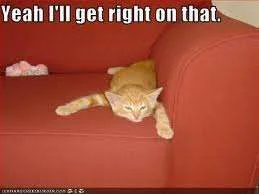 I\'ll get right on that.webp