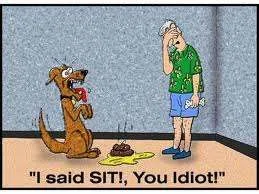 I said sit.webp