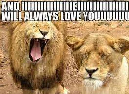 I will always love you.webp