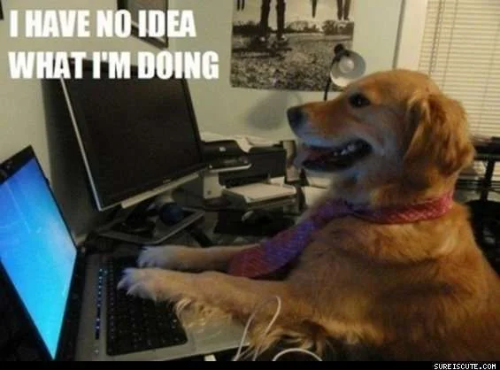 I_Have_No_Idea_What_I_m_Doing.webp