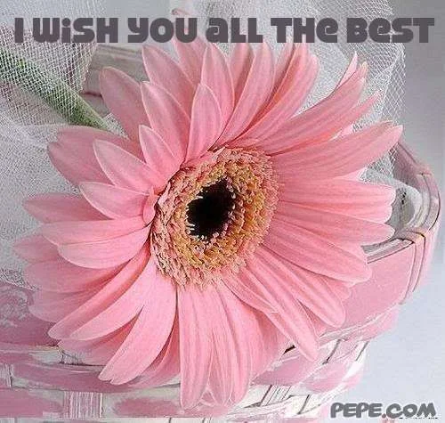 i_wish_you_all_the_best_8.webp