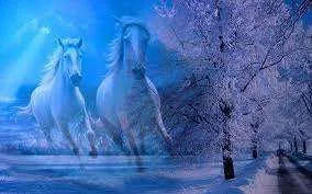 Iam.webp