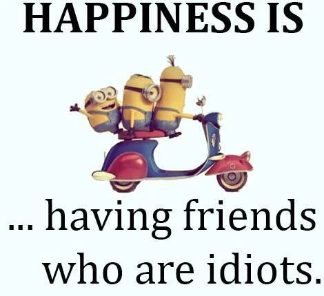 idiot friends.webp