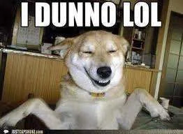 idunnolol.webp