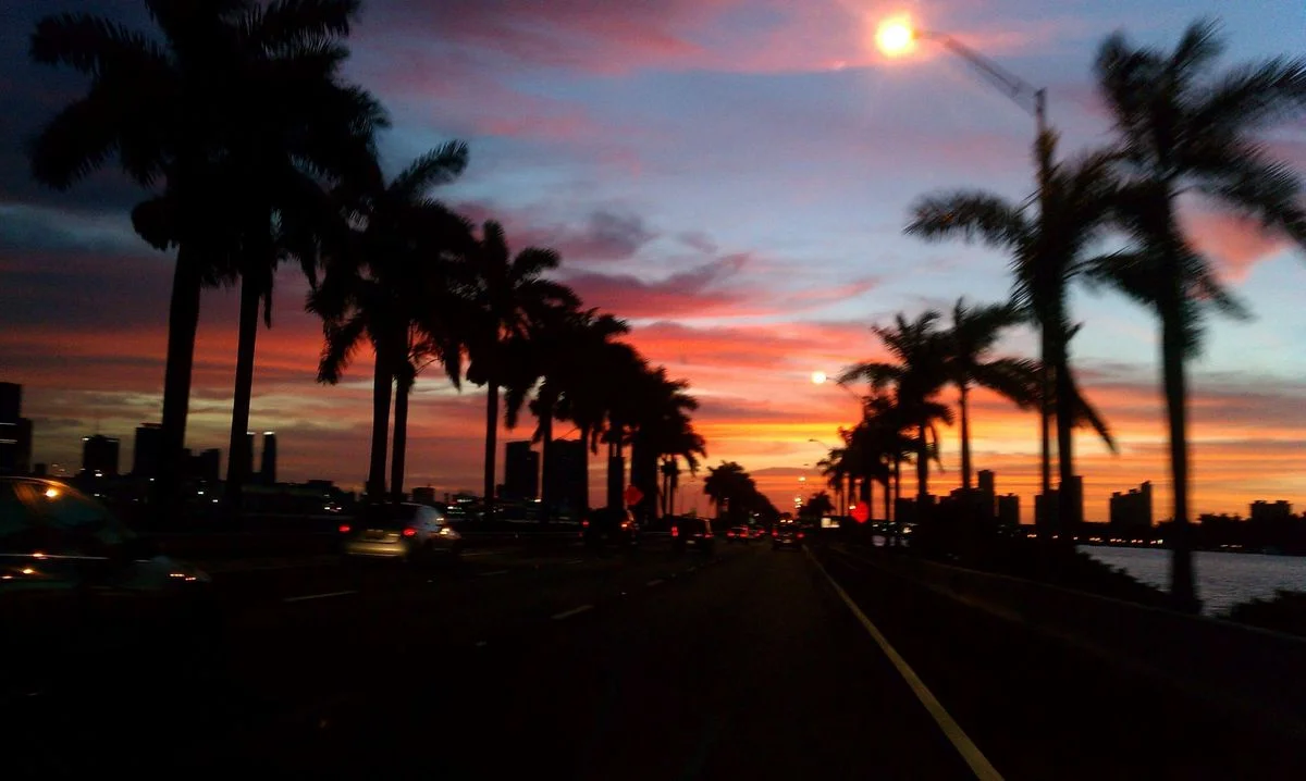 IMAG0056.webp