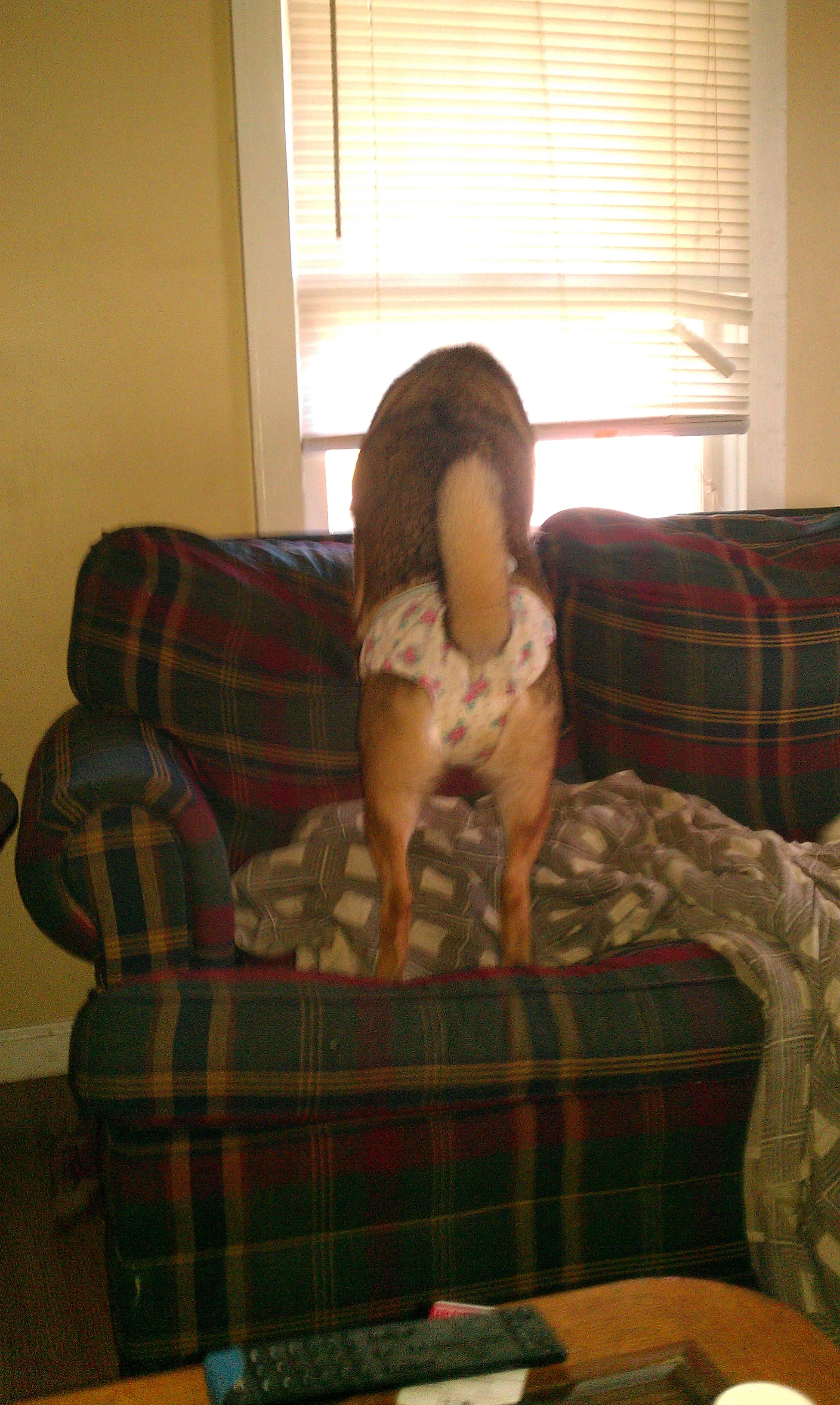 IMAG0409.webp