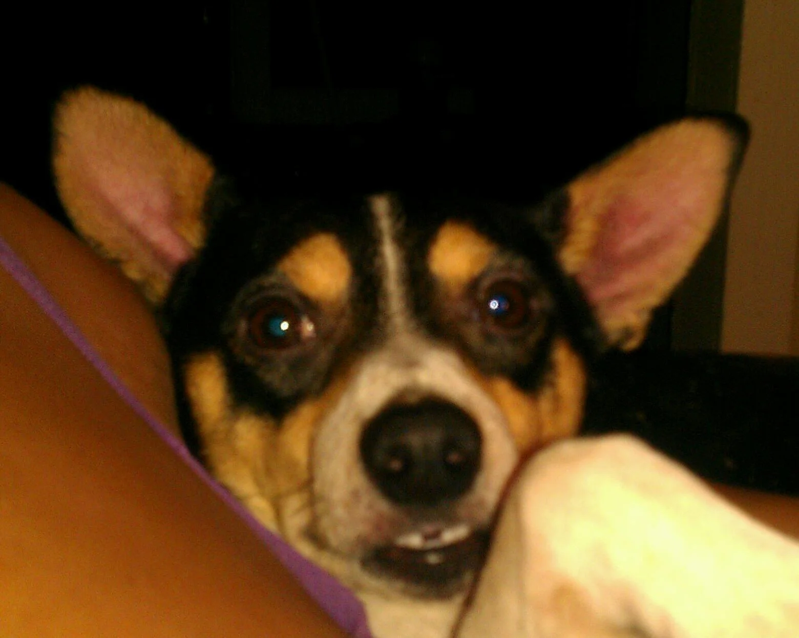 IMAG0852-1.webp