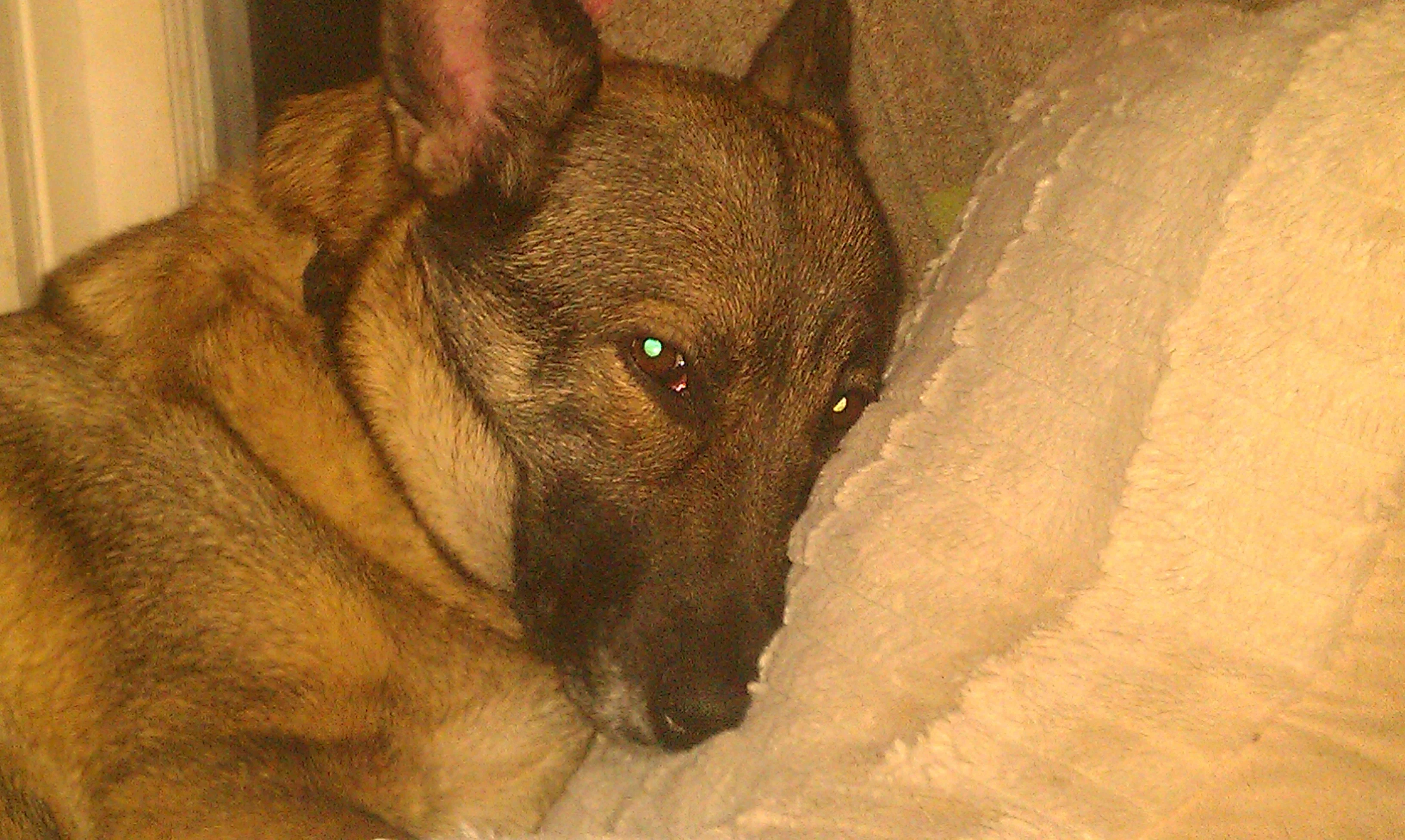 IMAG1114.webp