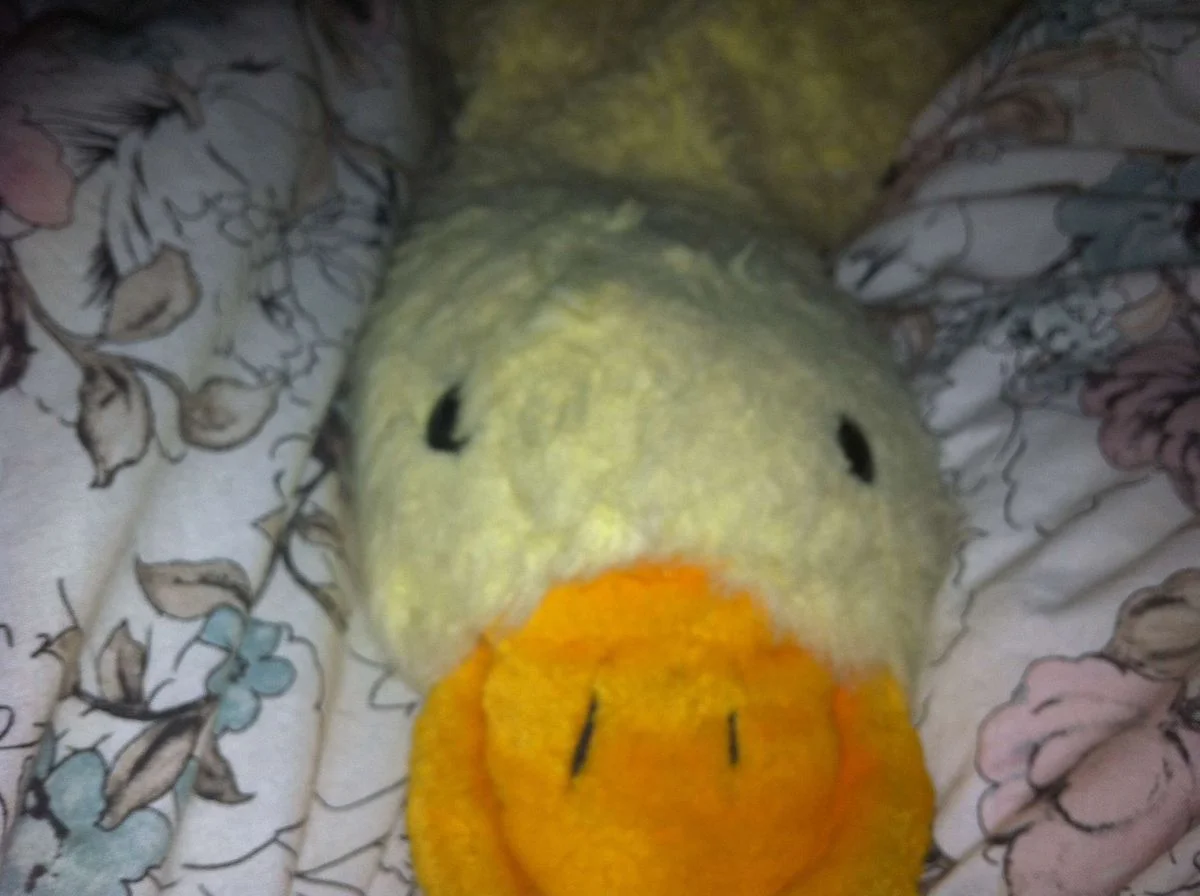 image.webp