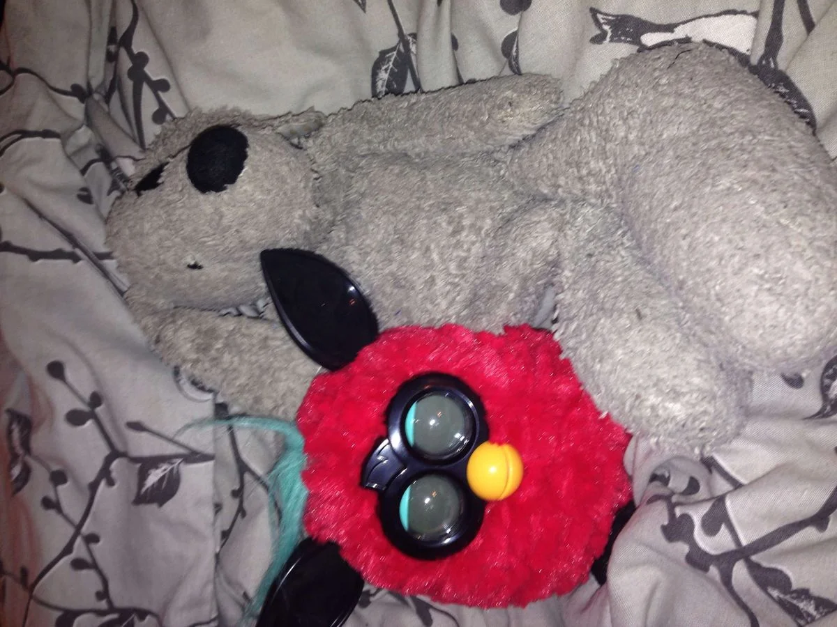 image.webp