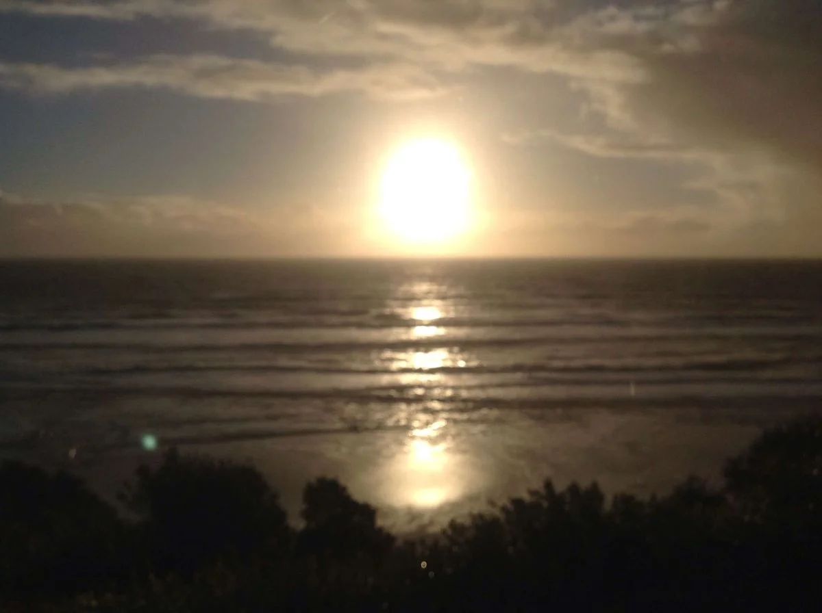 image.webp