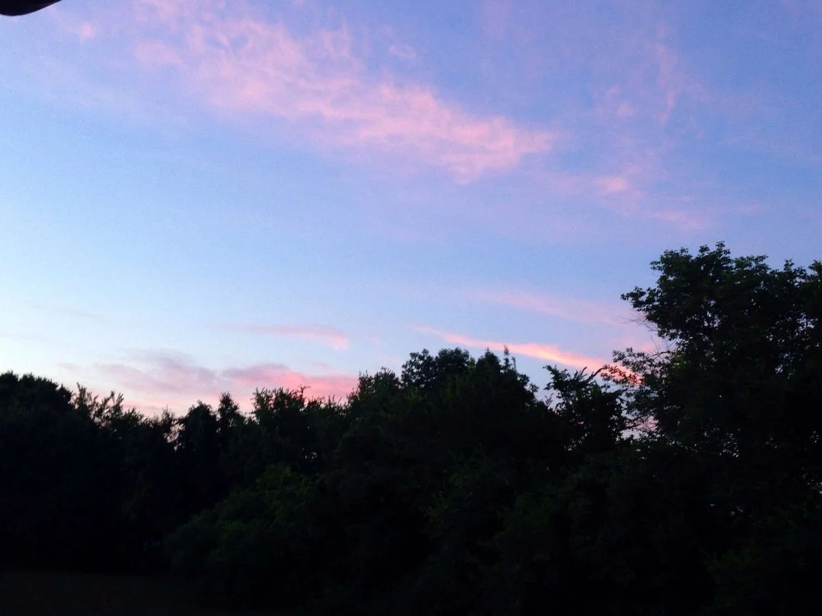 image.webp