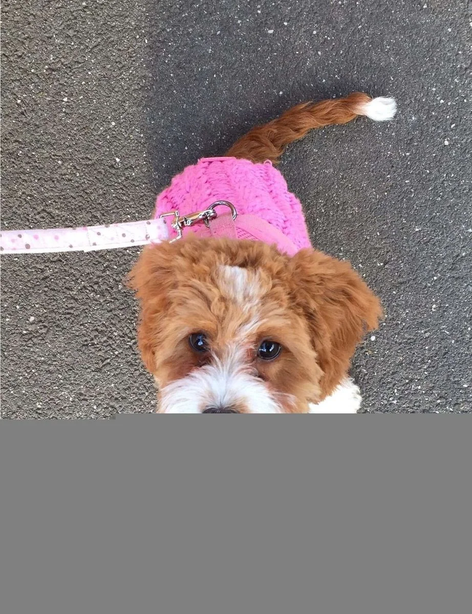 image.webp
