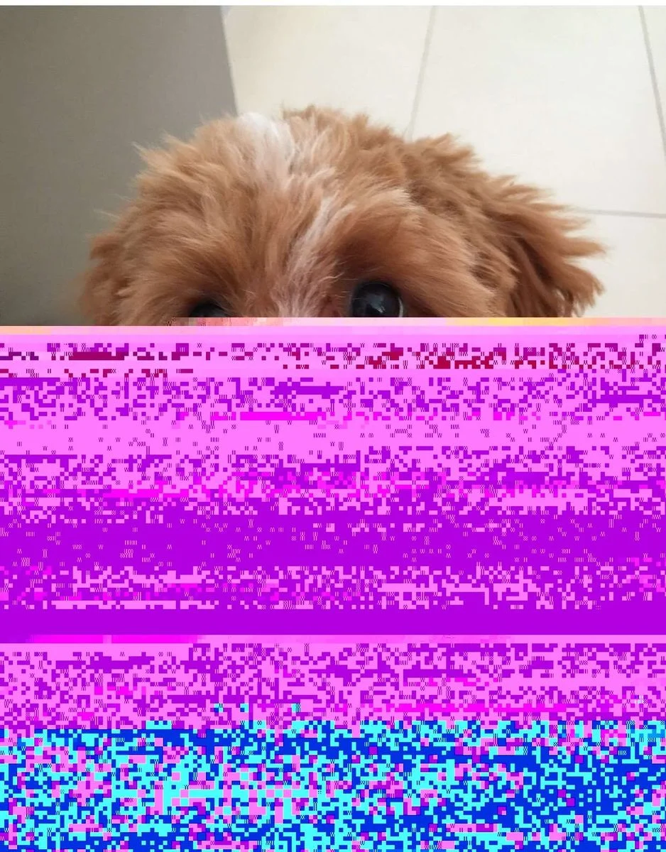 image.webp