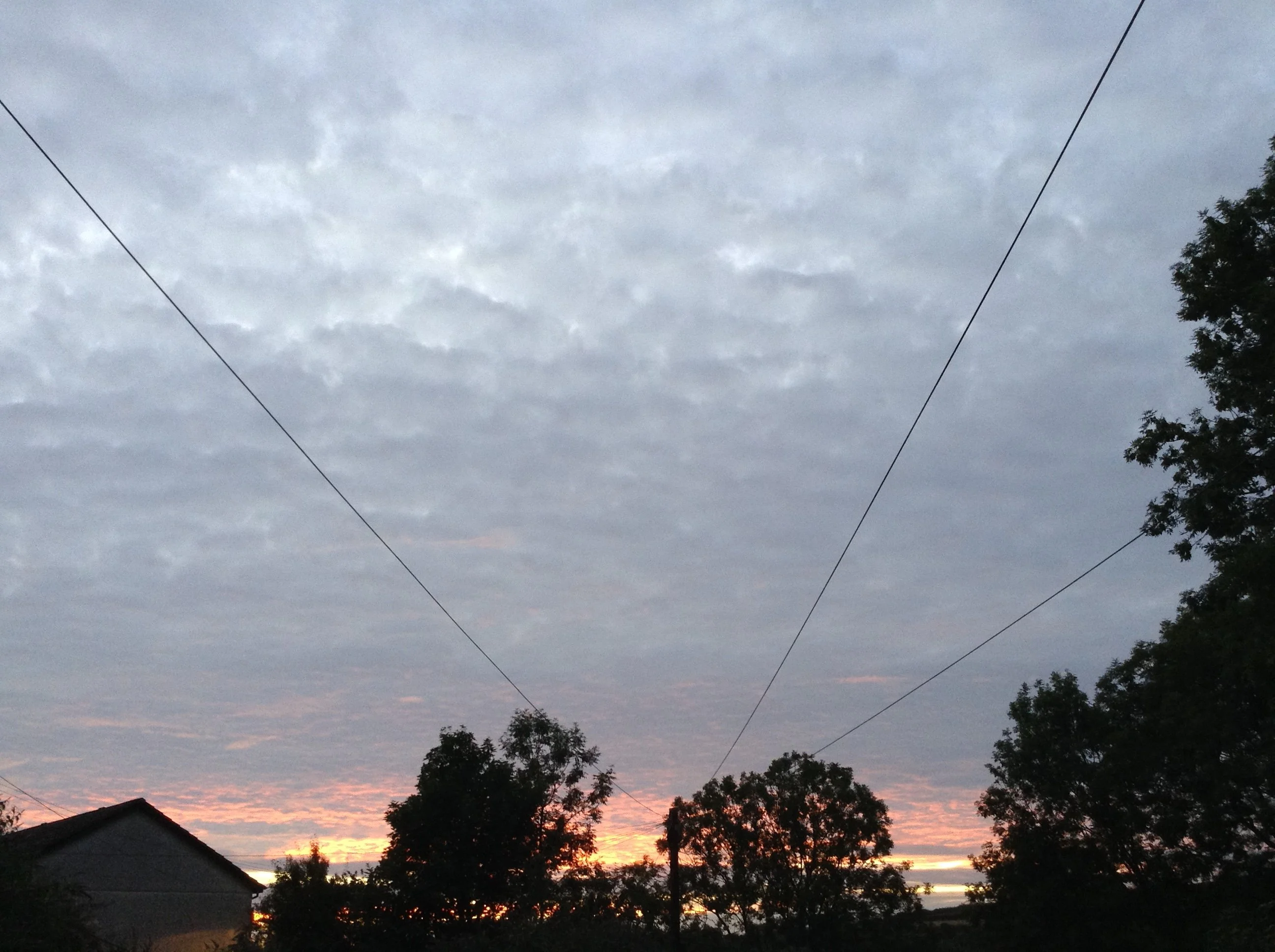 image.webp
