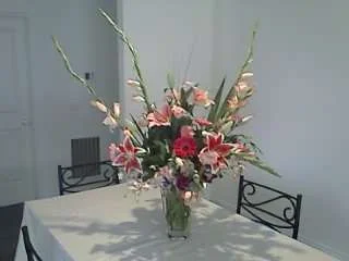 IMAGE_034.webp