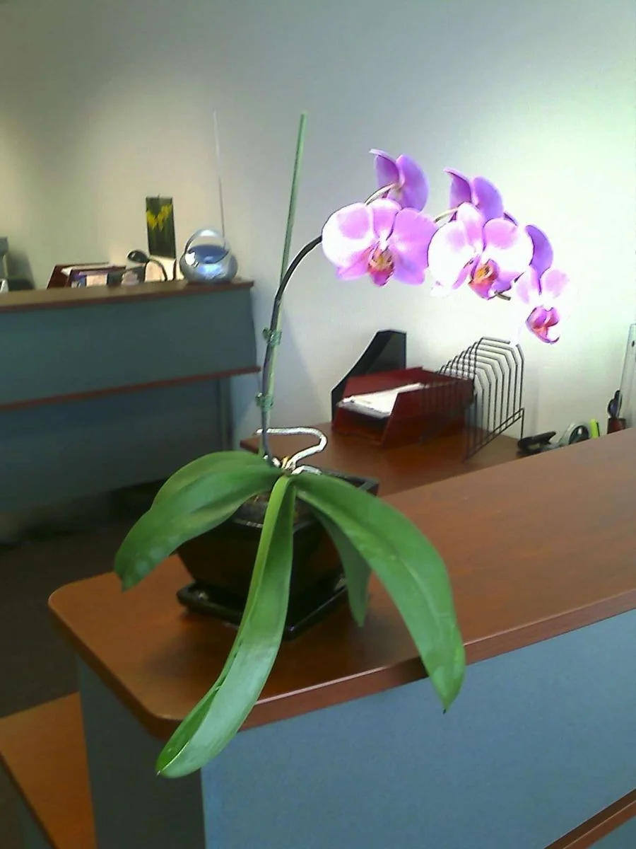 IMAGE_072.webp