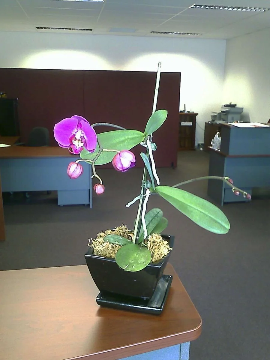 IMAGE_076.webp
