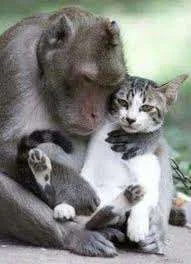 images-1.webp