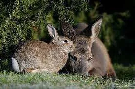 images-1.webp