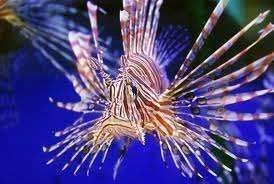 images-1.webp