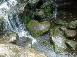 images-1.webp