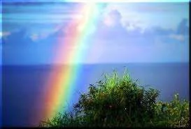 images-1.webp