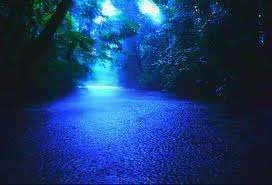 images-1.webp