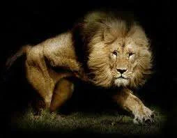 images-10.webp