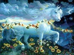 images-10.webp