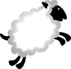 images-10.webp