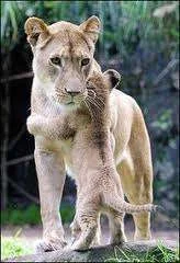 images-10.webp