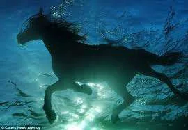 images-10.webp