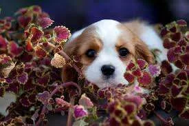 images-10.webp