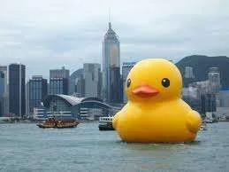 images[10].webp