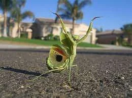 images-10.webp