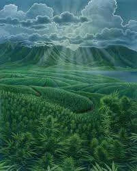 images-11.webp