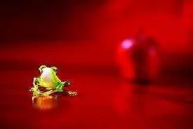 images-11.webp