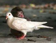 images-11.webp