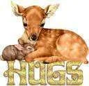 images-11.webp