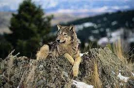 images-12.webp
