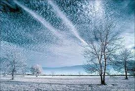 images-12.webp