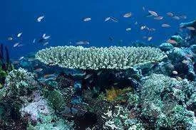 images-12.webp