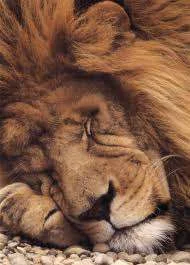 images-12.webp