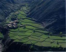 images-12.webp