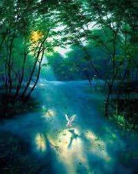 images-12.webp