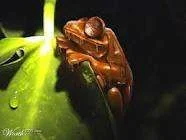 images-12.webp