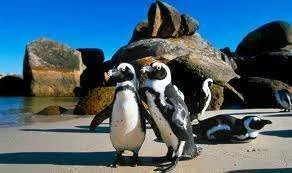 images-12.webp