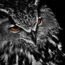 images-12.webp