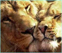images-13.webp